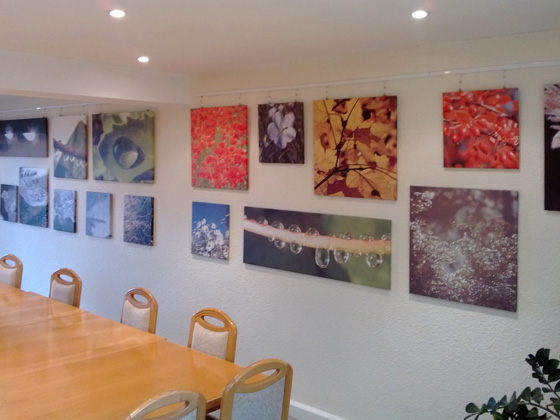 Wandbilder auf Leinwand
