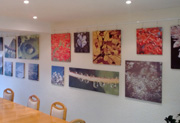 Wandbilder auf Leinwand drucken